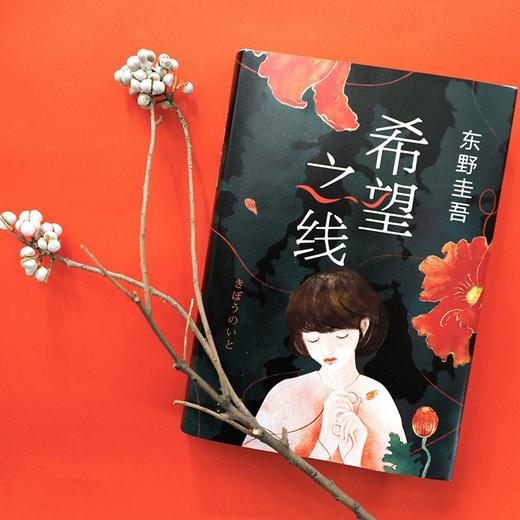 (仓发) 东野圭吾：希望之线（东野圭吾新代表作，豆瓣东野作品TOP5！）/南海出版公司/[日]东野圭吾/9787544262705 商品图6