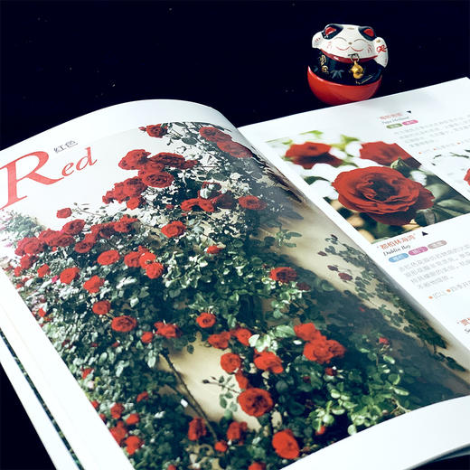 园艺大师后藤绿的月季12月栽培手记 后藤绿 日 园艺大师系列 月季 花 花卉 【官方正版】 商品图4