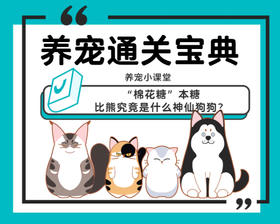 “棉花糖”本糖，比熊究竟是什么神仙狗狗？