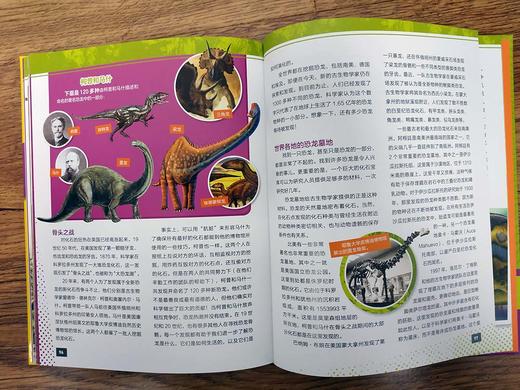 (仓发) 美国国家地理超级专家：恐龙/中国纺织出版社/莉拉·纳尔吉，史蒂夫·布鲁萨特，邢立达/9787518071647 商品图5