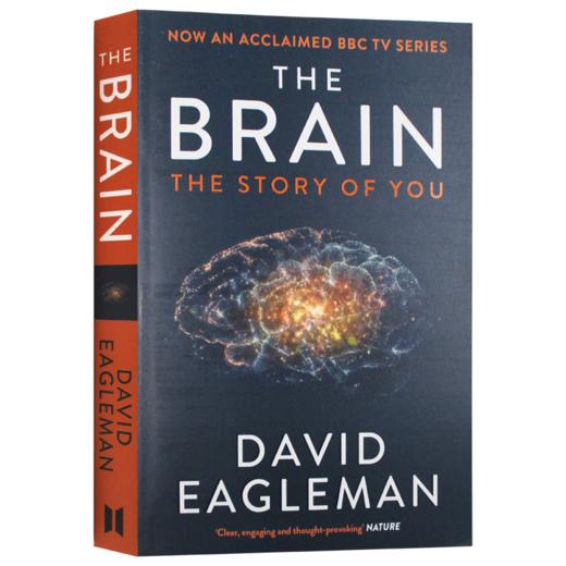 大脑的故事 英文原版 The Brain The Story of You 深入大脑 大卫伊格曼 英文版 进口原版英语书籍 商品图3