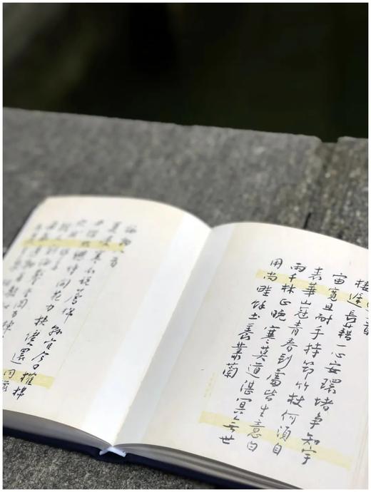 《谢无量自作诗册二种》，谢无量著，32开布面精装，全彩精印，限量400册，文物出版社2022年6月一版一印。售价280元。
 
谢无量先生（1884～1964）经历传奇，曾任孙中山先生特务秘书，后从事 商品图6