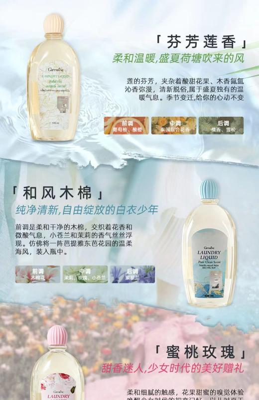 芝芙莲内衣洗衣液蜜桃玫瑰/芬芳莲香500ml   商品图1