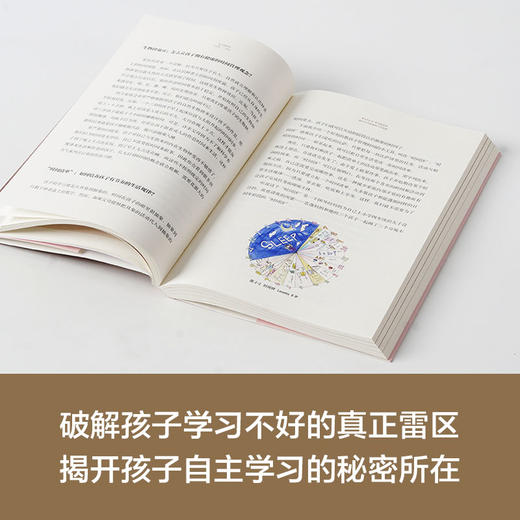 (仓发) 学习的格局/中信出版集团股份有限公司/黄静洁/9787521713459 商品图5