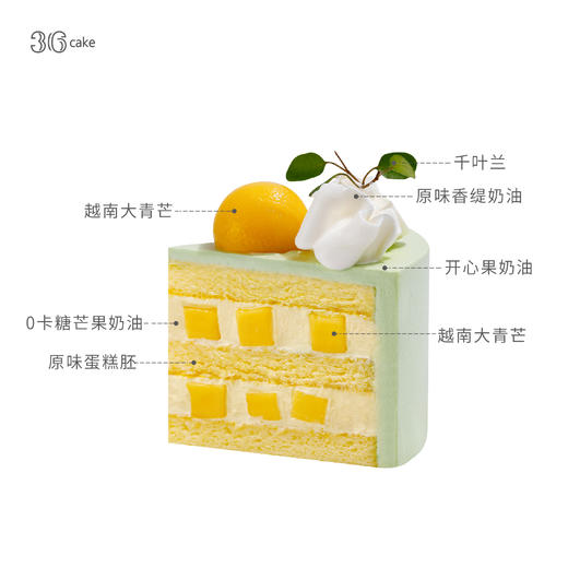 鲜芒开心果.奶油蛋糕，可选1.5/2.5磅冰淇淋口味仅限深圳广州佛山可选 商品图3
