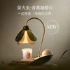 大人糖萤火虫香薰融蜡灯 无火氛围灯助眠无烟小夜灯卧室台灯 商品缩略图1