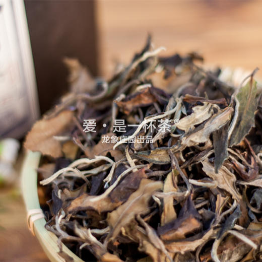 白茶砖 商品图3