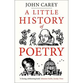 现货  诗歌简史 A Little History of Poetry 英文原版 John Carey