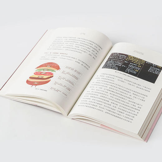 (仓发) 学习的格局/中信出版集团股份有限公司/黄静洁/9787521713459 商品图7