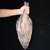 碟鱼600克/条 商品缩略图0