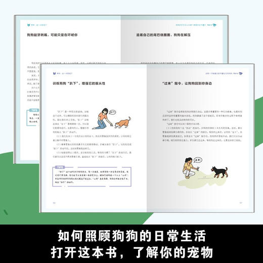 养狗 这一本就够了 艾虎 著 狗狗的日常护理与驯养养狗书籍狗狗训练教程训练狗狗一本就够狗狗训练教程书新手养狗品种选择宠物狗狗书养狗指南 商品图2