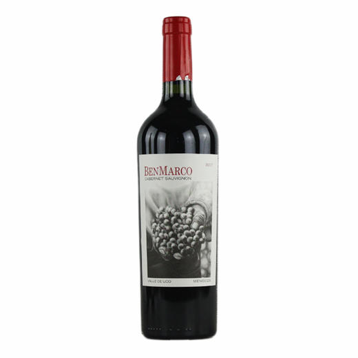 德米诺酒庄本玛科赤霞珠红葡萄酒 Dominio del Plata BenMarco Cabernet Sauvignon, Mendoza, Argentina 商品图0