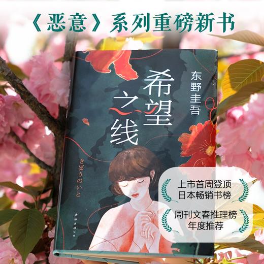 (仓发) 东野圭吾：希望之线（东野圭吾新代表作，豆瓣东野作品TOP5！）/南海出版公司/[日]东野圭吾/9787544262705 商品图5