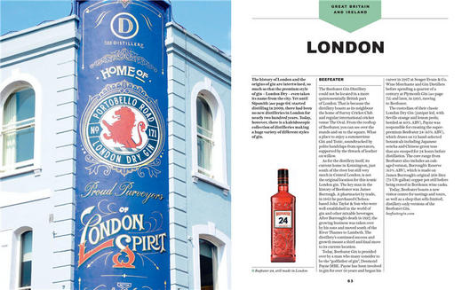 杜松子酒世界地图集 英文原版 The World Atlas of Gin 餐饮指南 英文版 进口英语书籍 商品图1