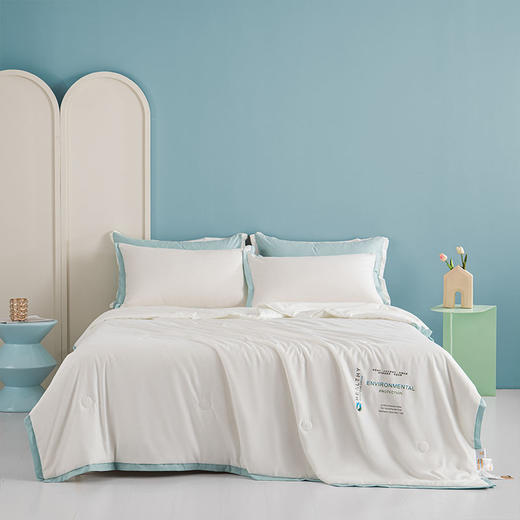 A类母婴级夏季大豆纤维空调被春秋被子夏凉被单人夏天可机洗夏被 商品图2