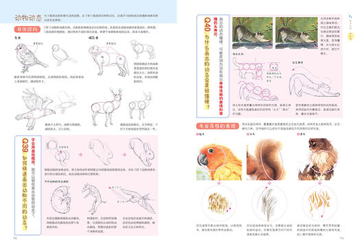 今天开始画水彩 水彩手绘基础入门 商品图12