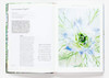 花园 如何从种子开始培育花 英文原版 The Flower Garden 精装 英文版进口原版英语书籍 商品缩略图2