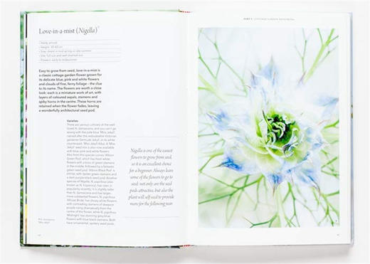 花园 如何从种子开始培育花 英文原版 The Flower Garden 精装 英文版进口原版英语书籍 商品图2