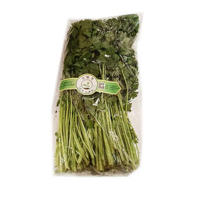 【万寿河净菜】400g万寿河芹菜 ±10g 常吃常鲜 懒人便携