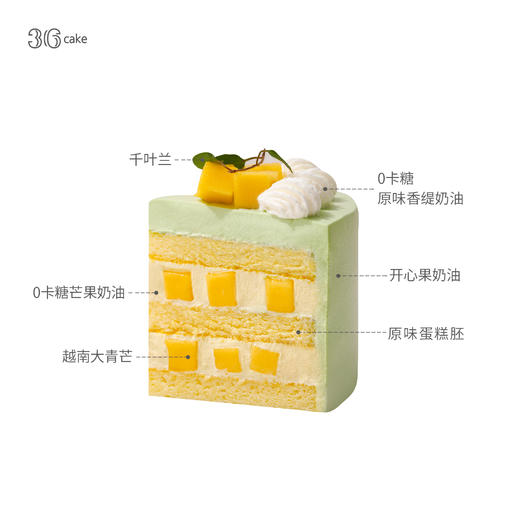 迷你鲜芒开心果，可选4英寸-sq 商品图2