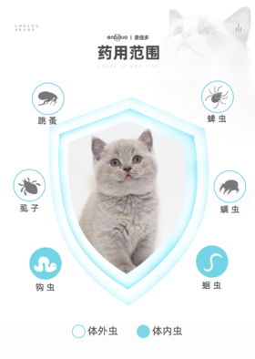 【jm分销】【多规格】测试商品-小金额
