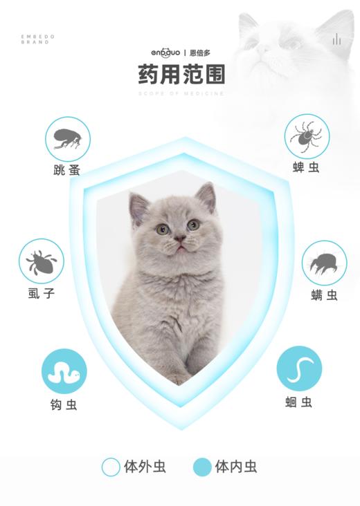 【jm分销】【多规格】测试商品-小金额 商品图0