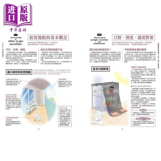 预售 【中商原版】我的第一株多肉植物 715品种完全图鉴 港台原版 田邉昇一 枫叶社文化 花草园艺 商品图3