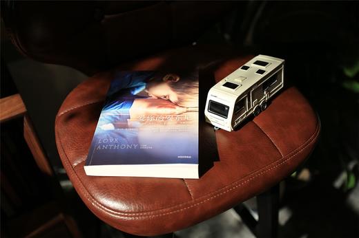 (仓发) 爱你的安东尼 莉萨·吉诺瓦 著 中信出版社/中信出版集团/[美] 莉萨·吉诺瓦/9787508680057 商品图5