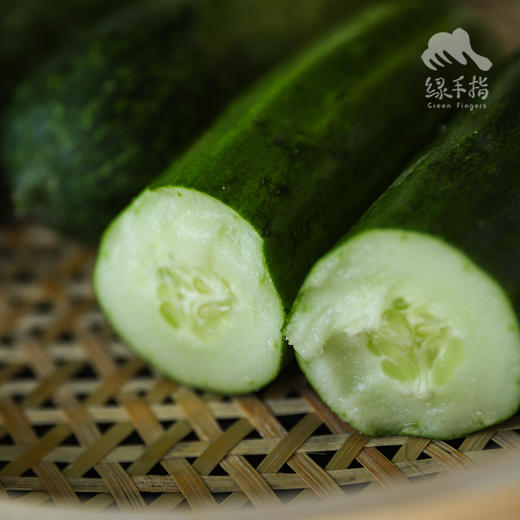 生态黄瓜（大吊瓜，潮汕老品种） | 绿家自产* Eco-cucumber | Self-production 商品图6