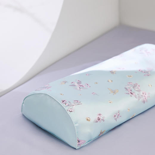 皇锦 真丝印花半圆形苦荞壳荞麦枕头-海棠蝴蝶HJ11665 商品图2