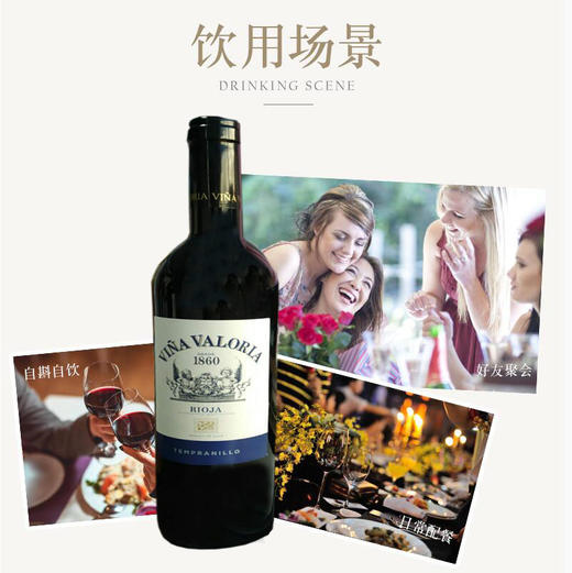 【特惠 买一赠一】西班牙原装进口红酒普兰尼诺DO干红葡萄酒750ml/瓶 商品图1