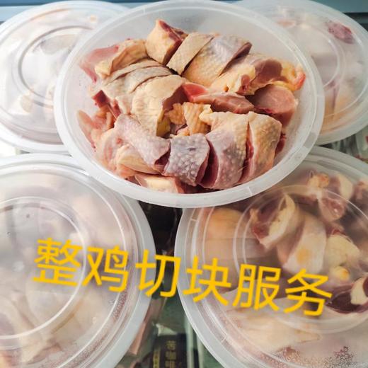 [配送｜爆款一只好鸡纯种黑凤鸡]中国珍惜种源|营养丰富|约2.5斤|源自农家自然造化  如风生活特惠 商品图4