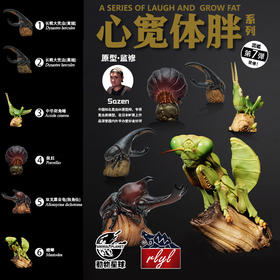 【48小时发货】心宽体胖 昆虫节肢主题模型 系列第7弹 树脂材质手办潮玩 长戟兜虫鼠妇螳螂蝗虫★动物星球官方正版