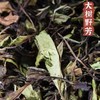 政和白茶【大树野芳寿眉】茶叶健康好茶送礼盒装500g三年陈韵老白茶 商品缩略图3