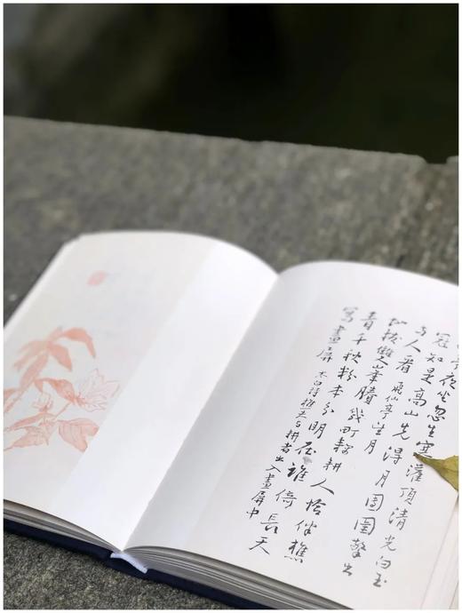 《谢无量自作诗册二种》，谢无量著，32开布面精装，全彩精印，限量400册，文物出版社2022年6月一版一印。售价280元。
 
谢无量先生（1884～1964）经历传奇，曾任孙中山先生特务秘书，后从事 商品图10