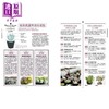 预售 【中商原版】我的第一株多肉植物 715品种完全图鉴 港台原版 田邉昇一 枫叶社文化 花草园艺 商品缩略图2