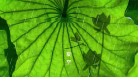 节气养生 | 夏至养生小妙招