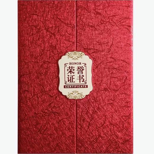 三折式中国红荣誉证书5k红色奥丽丝纹奖状证书A4内页高档颁奖获优秀员工45开大本表彰新款 商品图7