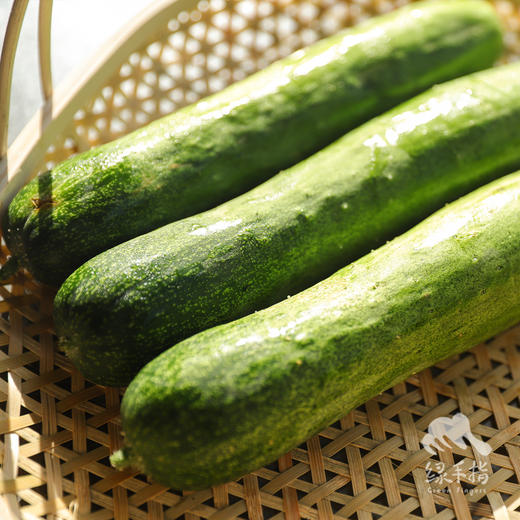 生态黄瓜（大吊瓜，潮汕老品种） | 绿家自产* Eco-cucumber | Self-production 商品图8