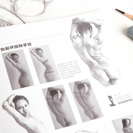 (仓发) 西方绘画技法经典教程：唯美的女人体素描/上海书画出版社/[日]山本雄三/9787547921395 商品图2