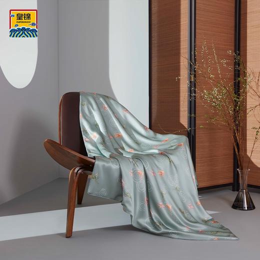 皇锦 涟涟有鱼儿童蚕丝被礼盒 商品图0