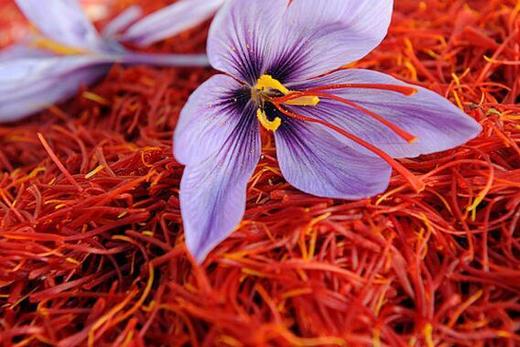 【送礼高档礼盒装】青海特级藏红花新花 5g起售 全国发货包邮 商品图11