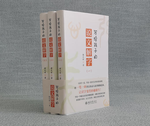 (仓发) 写给孩子的说文解字/北京大学出版社/谢光辉/9787301312322 商品图2