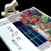 园艺大师后藤绿的月季12月栽培手记 后藤绿 日 园艺大师系列 月季 花 花卉 【官方正版】 商品缩略图2