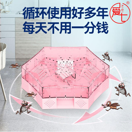 蟑螂捕捉神器诱捕器抓蟑螂魔屋全窝端无毒杀蟑螂药蟑螂盒大号 商品图6