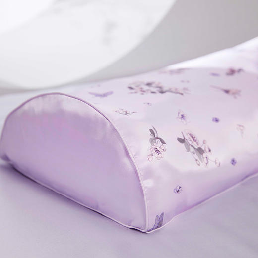皇锦 真丝印花半圆形苦荞壳荞麦枕头-海棠蝴蝶HJ11665 商品图1
