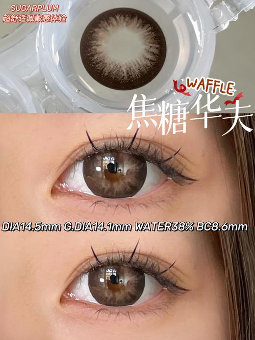 【小红书推荐款】sugarplum，焦糖华夫  年抛 直径14.5着色14.1 ，168/一副，268/两副，388/四副（商品详情款式任选，最高度数1000） 商品图6