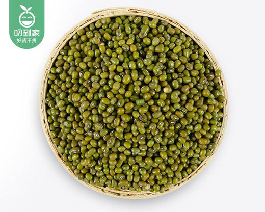 铁山罗地东北绿豆/1包（1000g） 商品图2