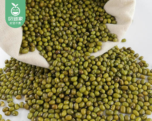 铁山罗地东北绿豆/1包（1000g） 商品图1