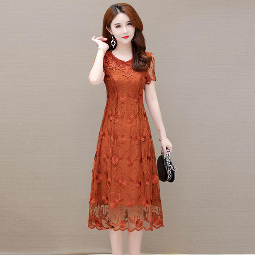 YWE WP18758减龄显白蕾丝刺绣中长款 连衣裙 商品图3